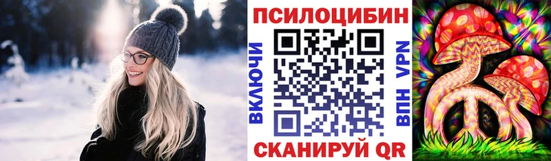 Галлюциногенные грибы Psilocybe Анадырь